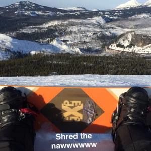 Meet your Posher, Dillon